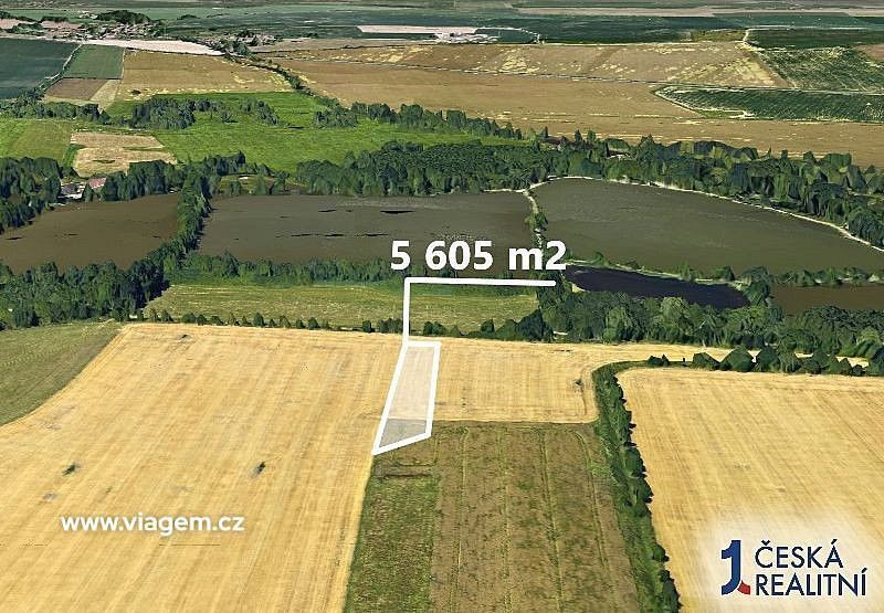Zemědělské pozemky, Vodňany, okres Strakonice, Jihočeský kraj - 2