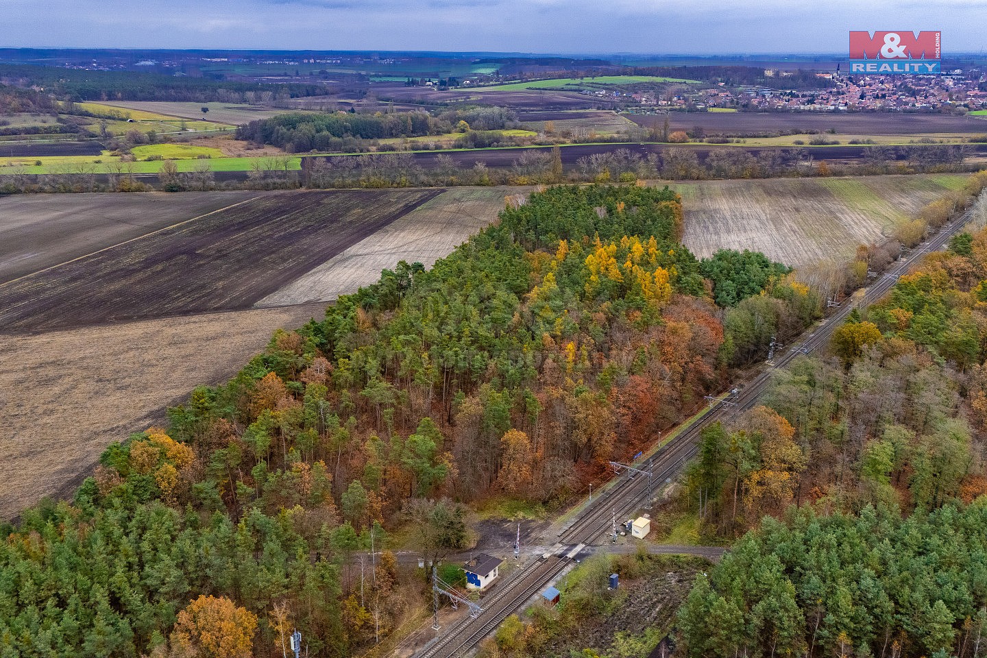 Les · Lysá nad Labem, okres Nymburk - 3