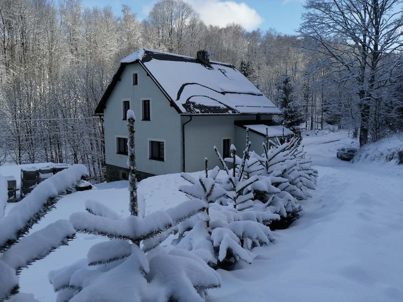 Chaty, Jindřichov - Nové Losiny, Olomoucký kraj - 2