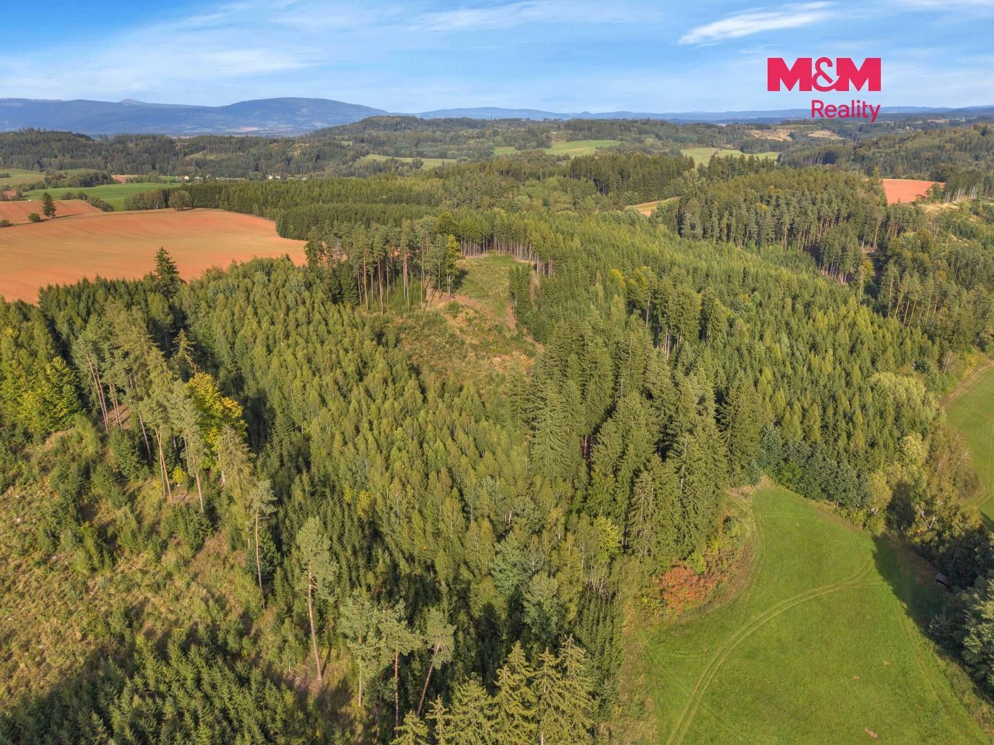 Prodej les - Vidochov - 5
