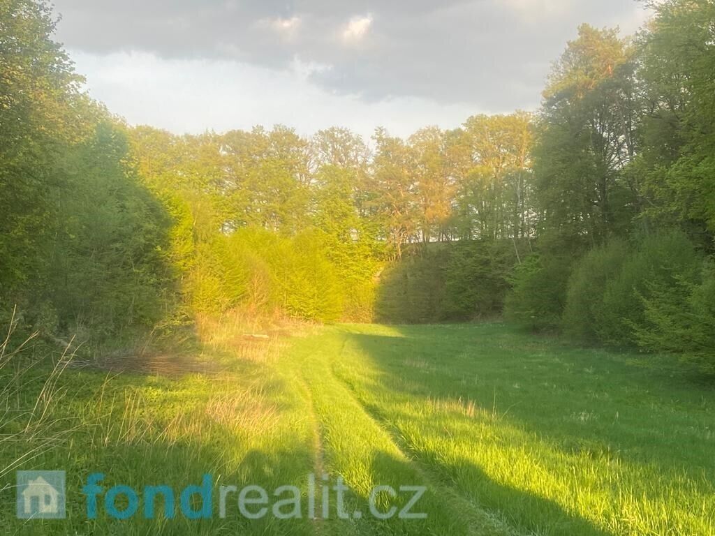 Zemědělský pozemek · 3 829 m² · Tachov - 4