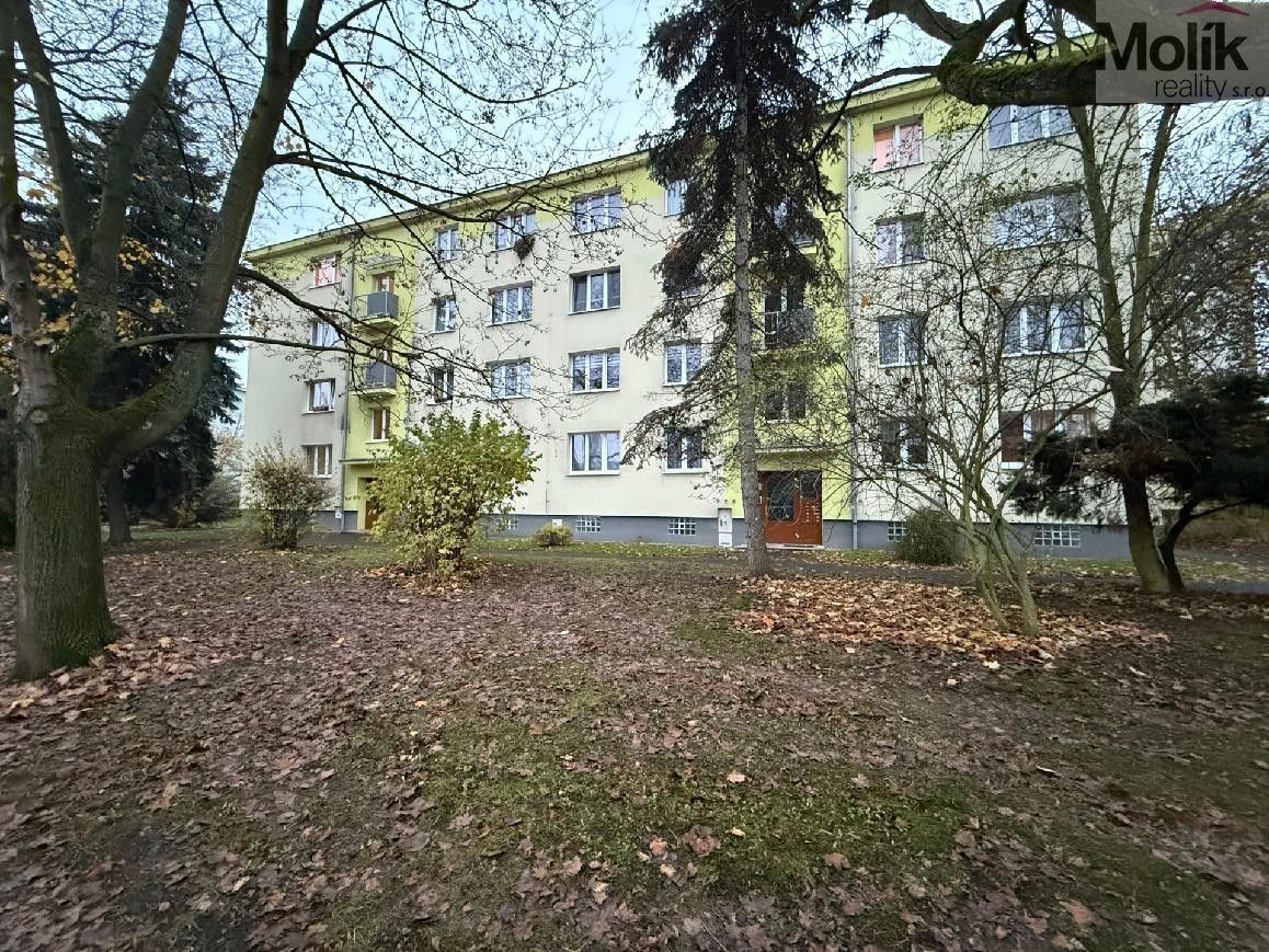 2+1, Duchcovská, Teplice, 53 m²
