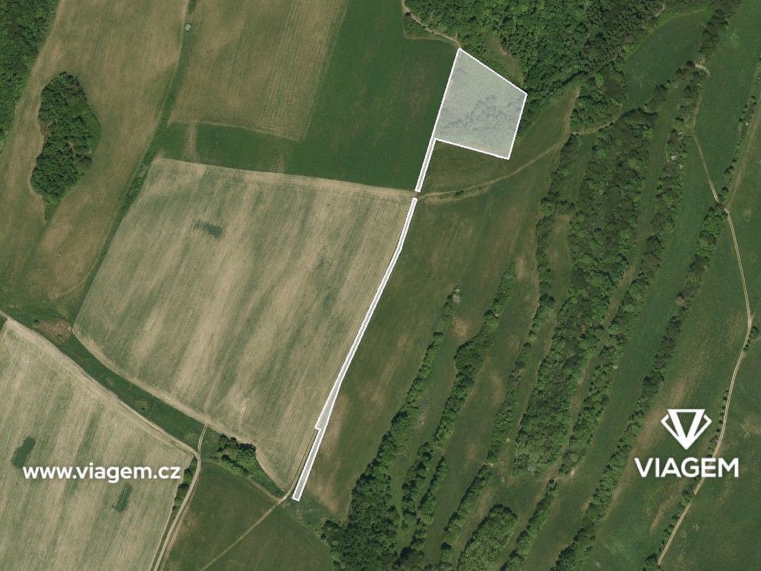 Lesy, Liptaň, okres Bruntál, Moravskoslezský kraj - 2