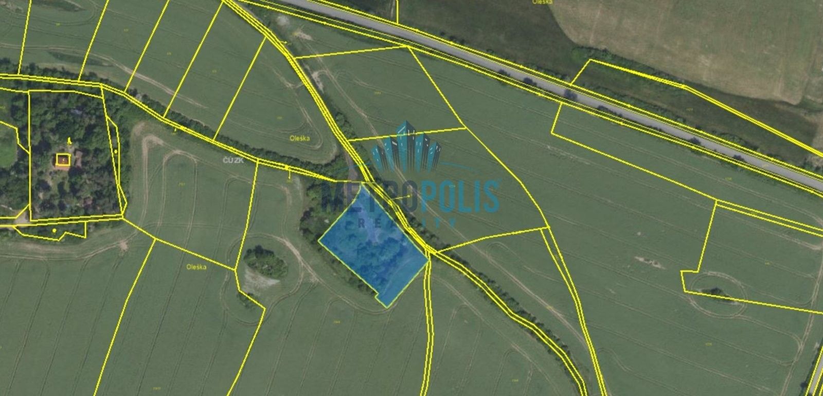 Prodej komerční pozemek - Buš, 3 683 m²