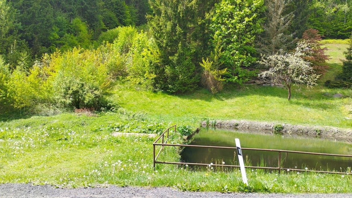 Prodej pozemek pro bydlení - Česká, Tanvald - 5