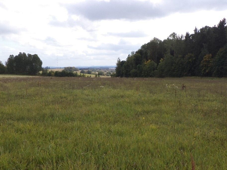 Louka · Ctiboř, okres Tachov, Plzeňský kraj - 3
