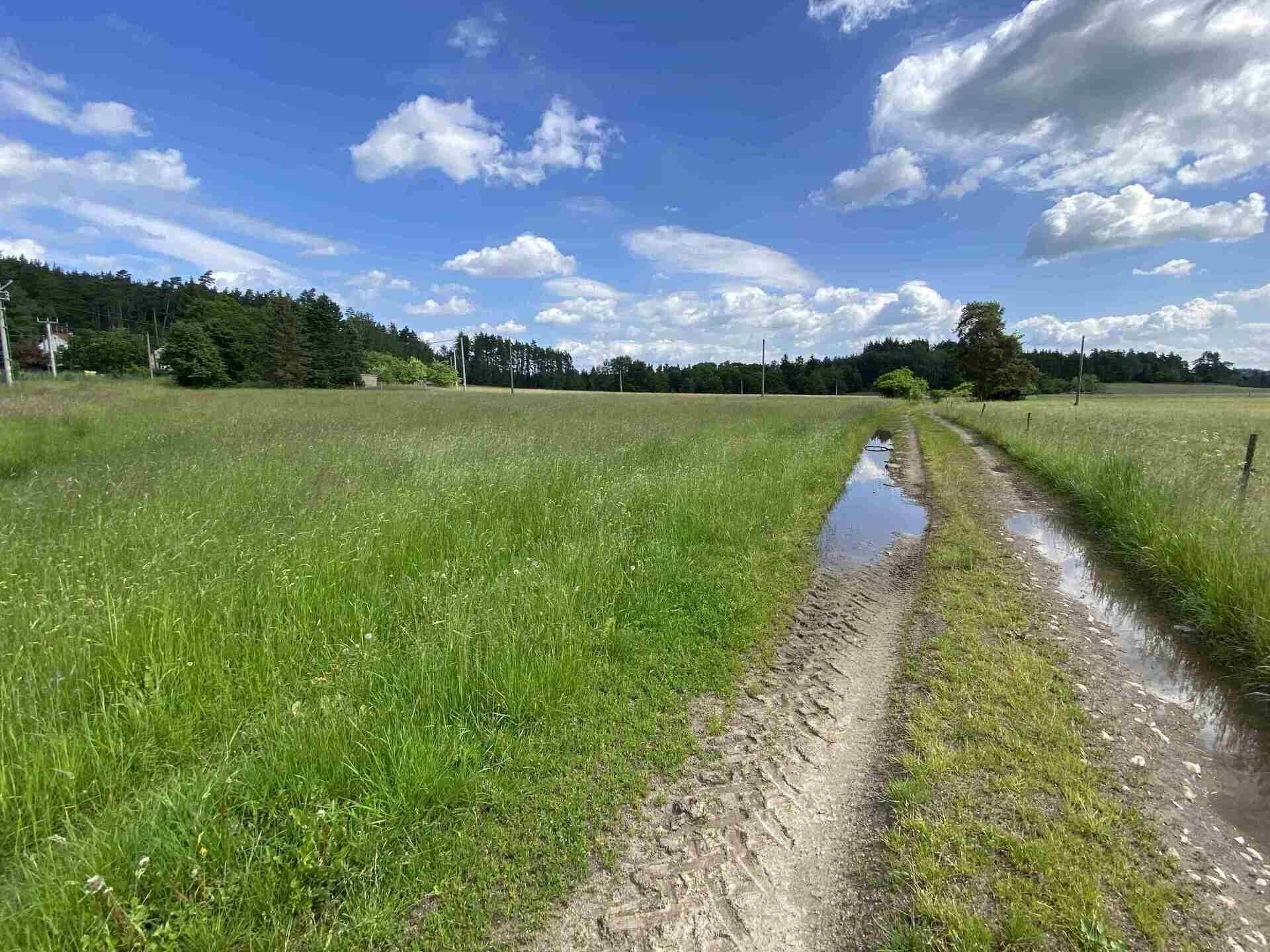 Pozemek pro bydlení · 1 400 m² · Planá Pavlovice - 3