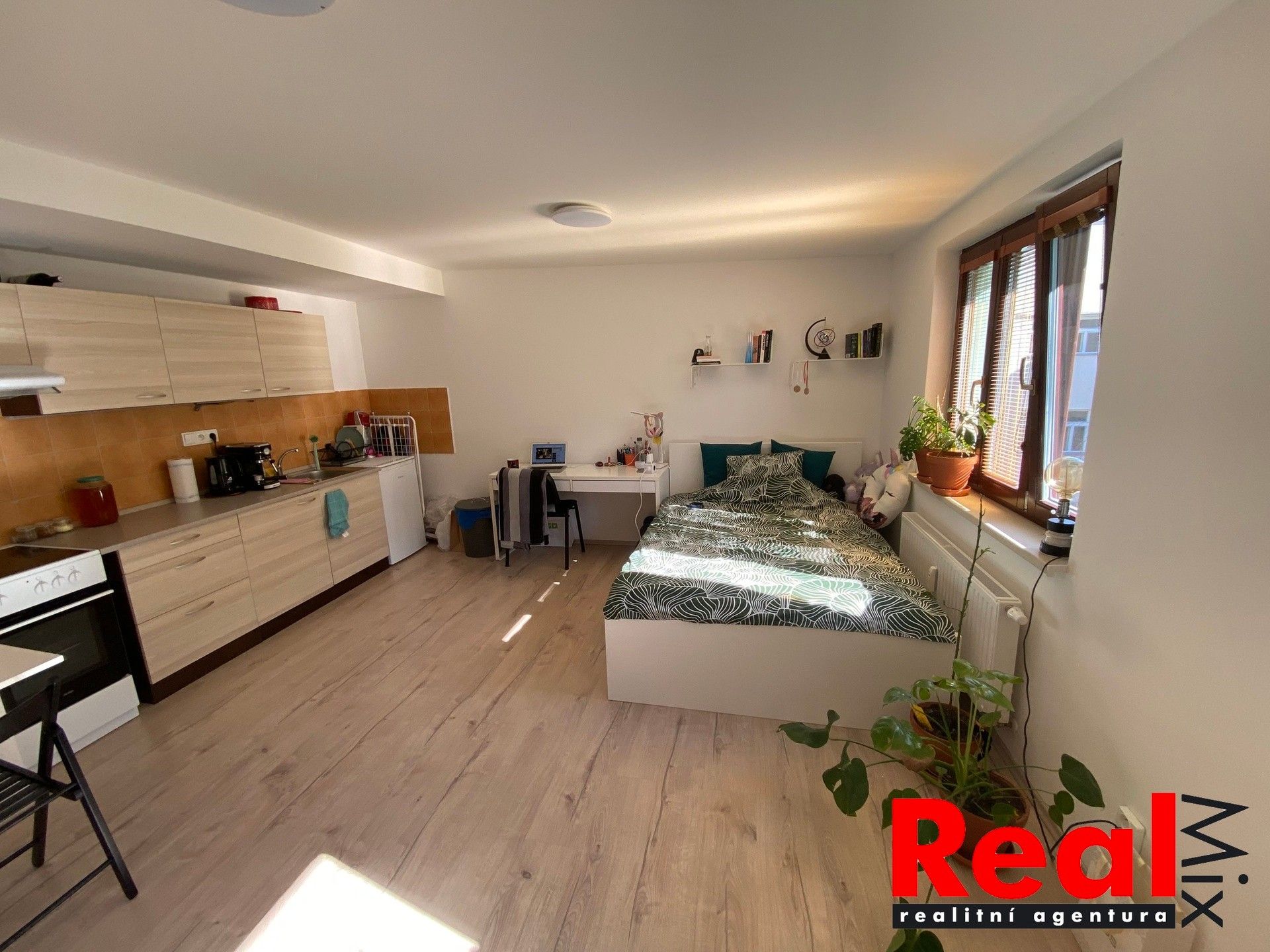 Byt 1+kk · 30 m² · Smetanova 342, Brno Veveří - 3