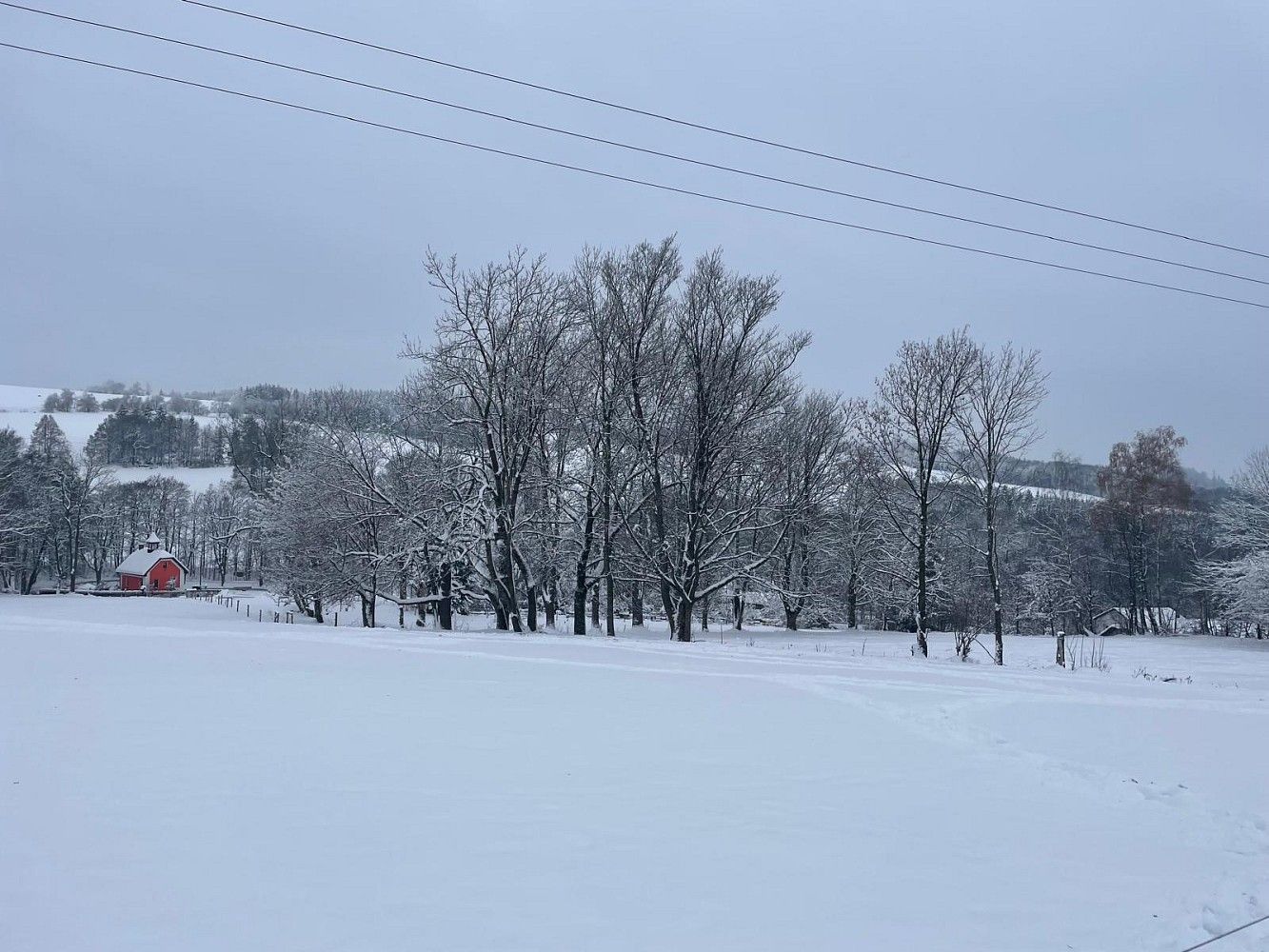 Prodej pozemek pro bydlení - Pulečný, okres Jablonec nad Nisou, Liberecký kraj - 5