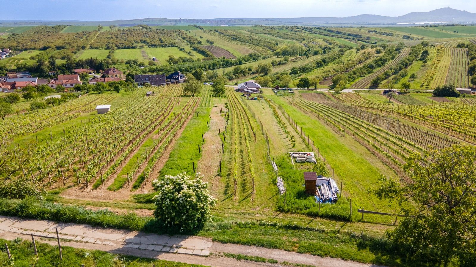 Pozemek pro bydlení · 1 528 m² · Zelnice, Velké Pavlovice - 3