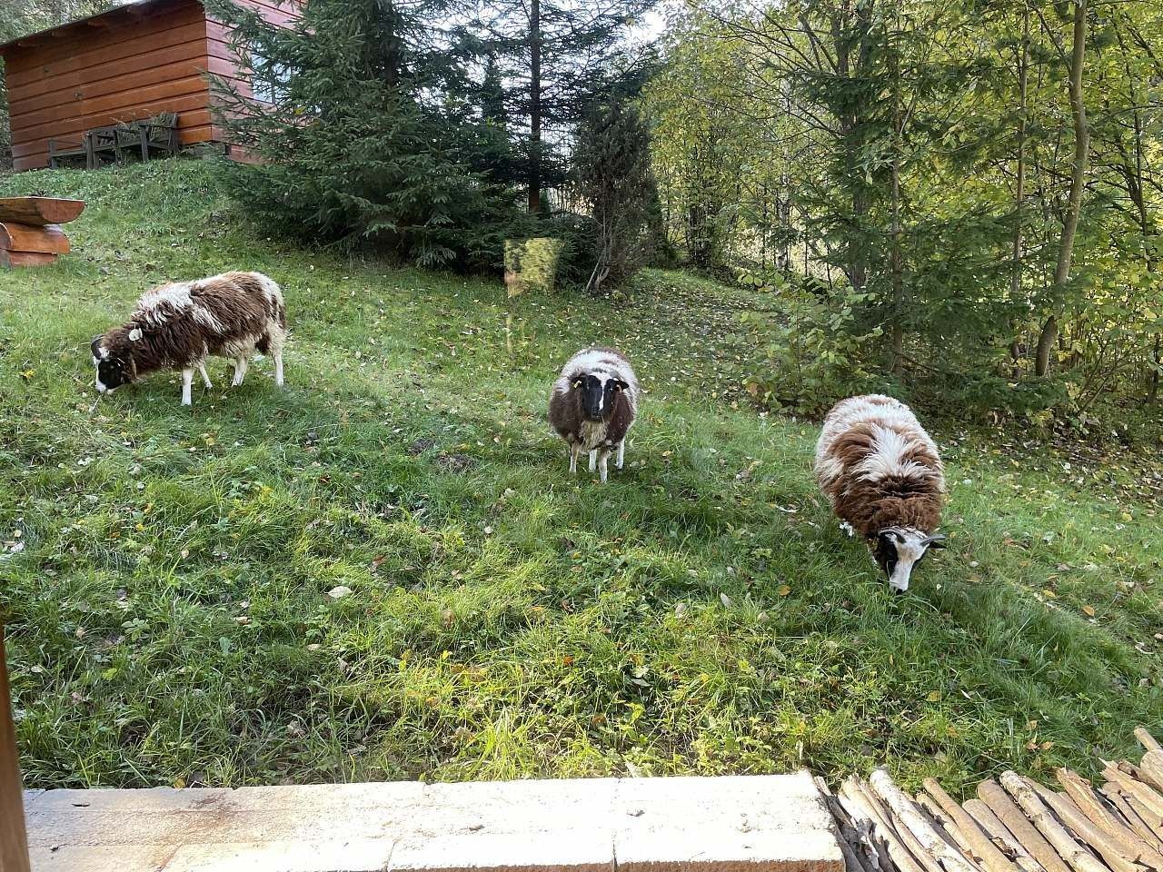 Chaty, Velké Karlovice - Malé Karlovice, Zlínský kraj - 2