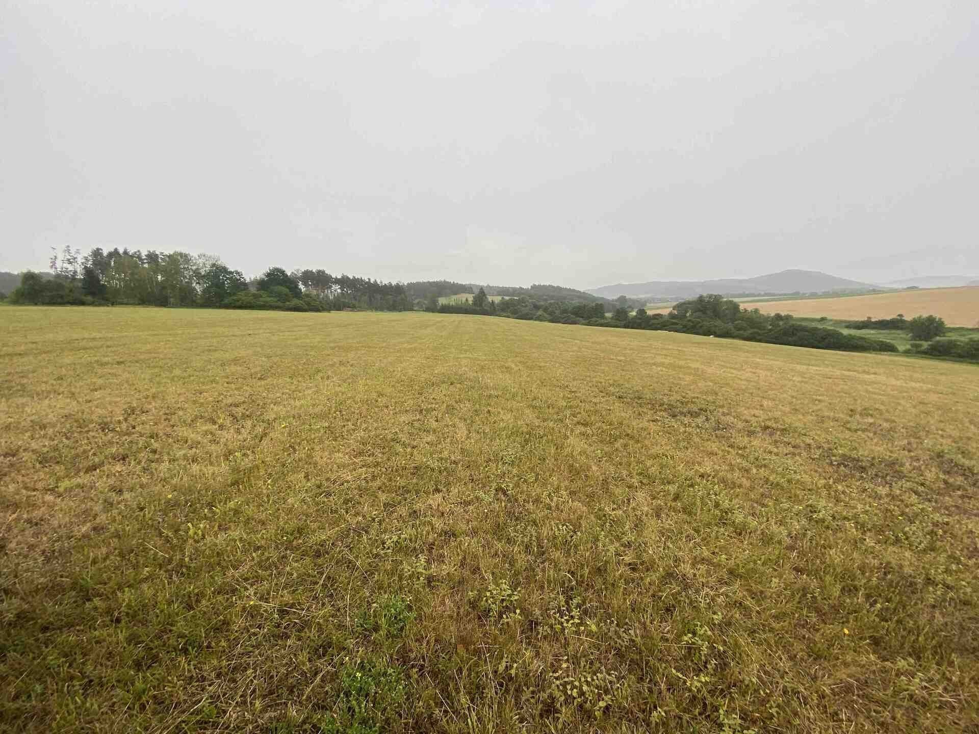 Zemědělské pozemky, Rabí Bojanovice, 22 978 m² - 2