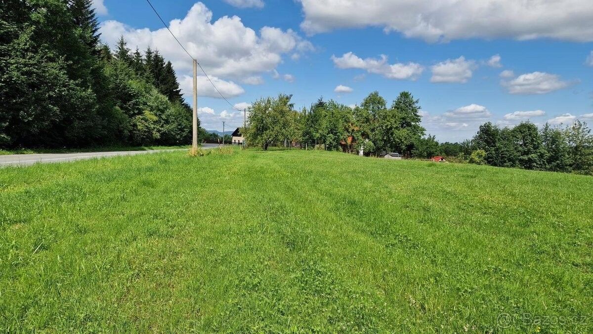 Pozemky pro bydlení, Pražmo, 739 04 - 2