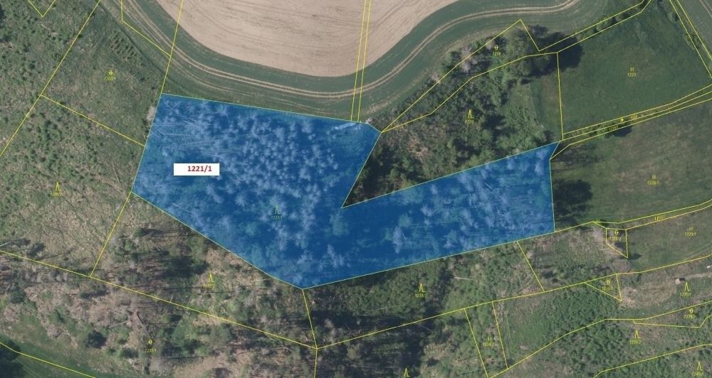 Prodej pozemek pro bydlení - Luka nad Jihlavou, 588 22