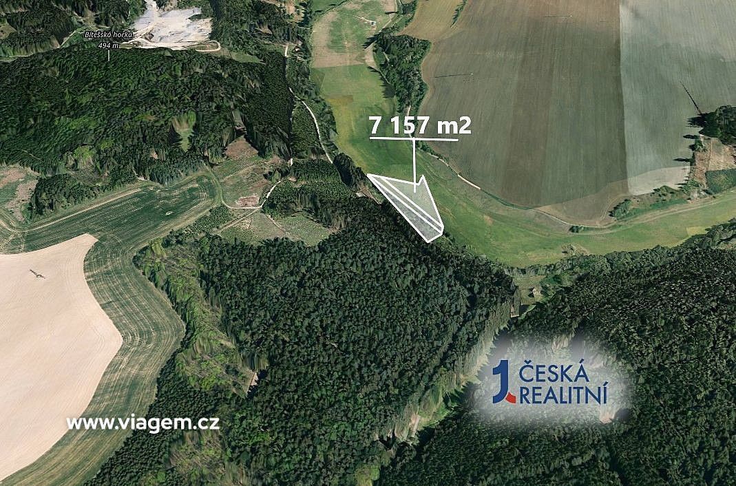 Les · Velká Bíteš, okres Žďár nad Sázavou, Kraj Vysočina - 2