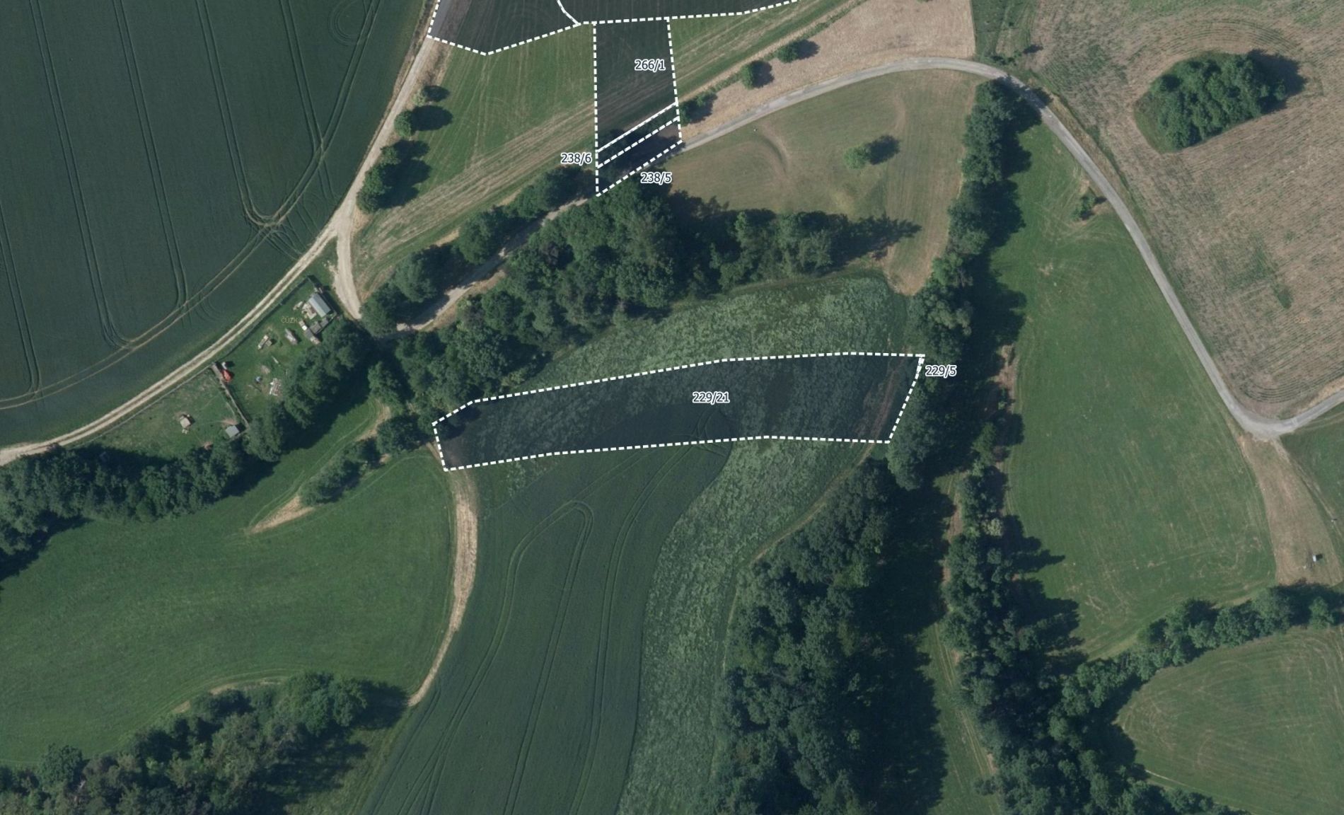 Prodej zemědělský pozemek - Pateřín, Bílá Lhota