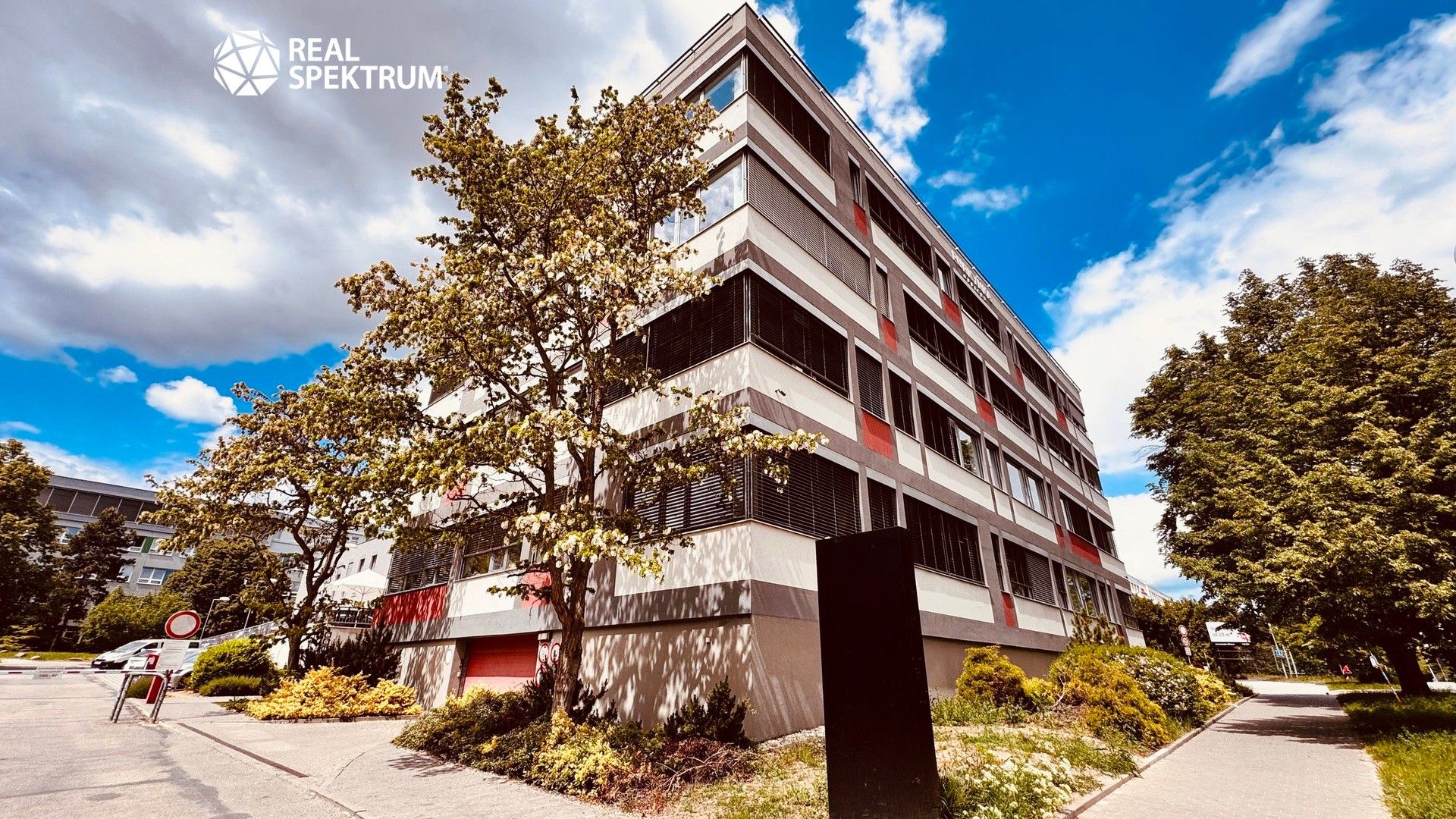 Kanceláře, Purkyňova, Brno, 539 m²
