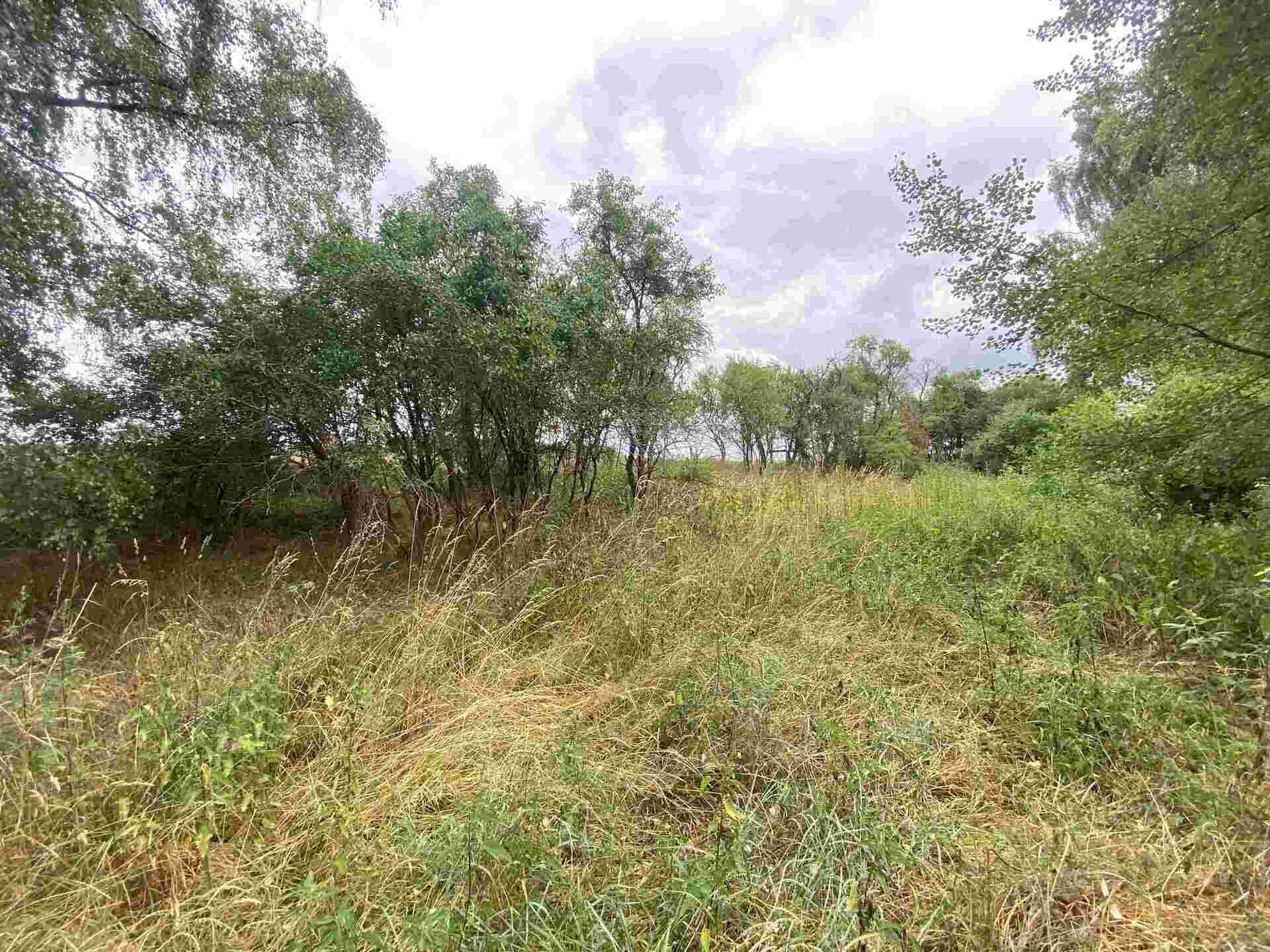 Pozemek · 2 230 m² · Kladruby Tuněchody - 4