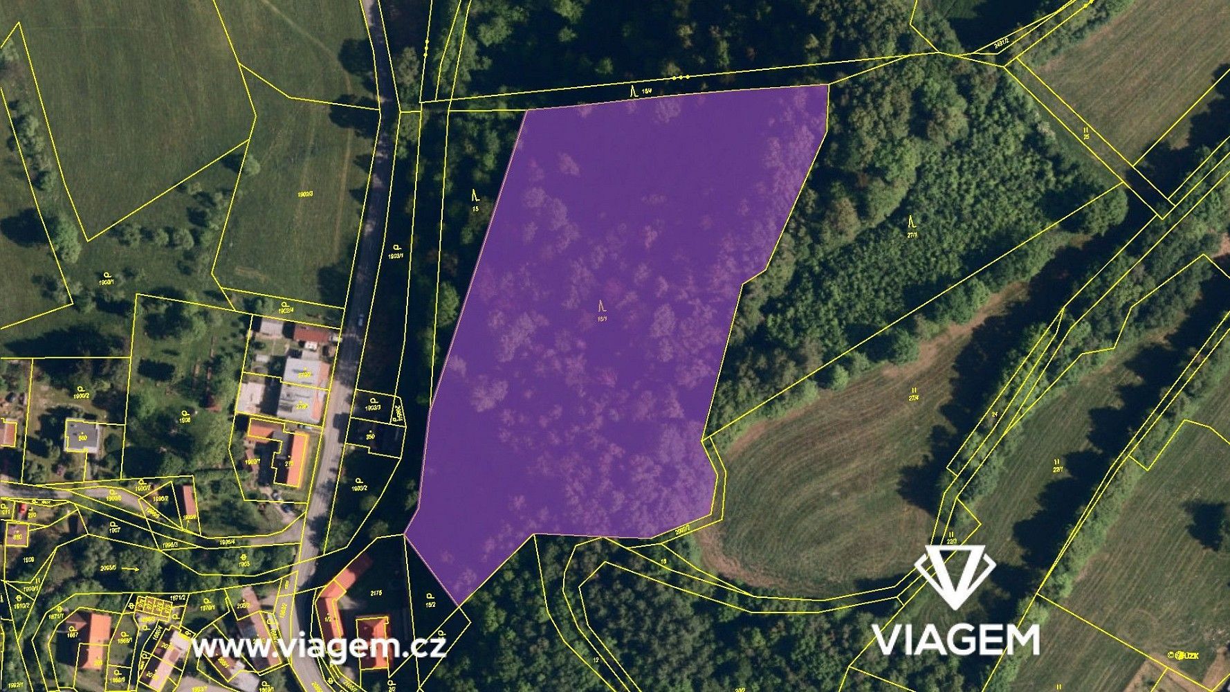 Les · Metylovice, okres Frýdek-Místek, Moravskoslezský kraj - 4
