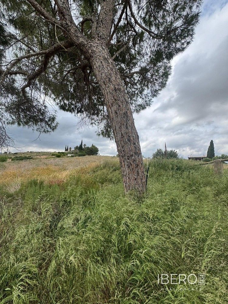 Rodinný dům · 270 m² · Abanilla, ES - 3