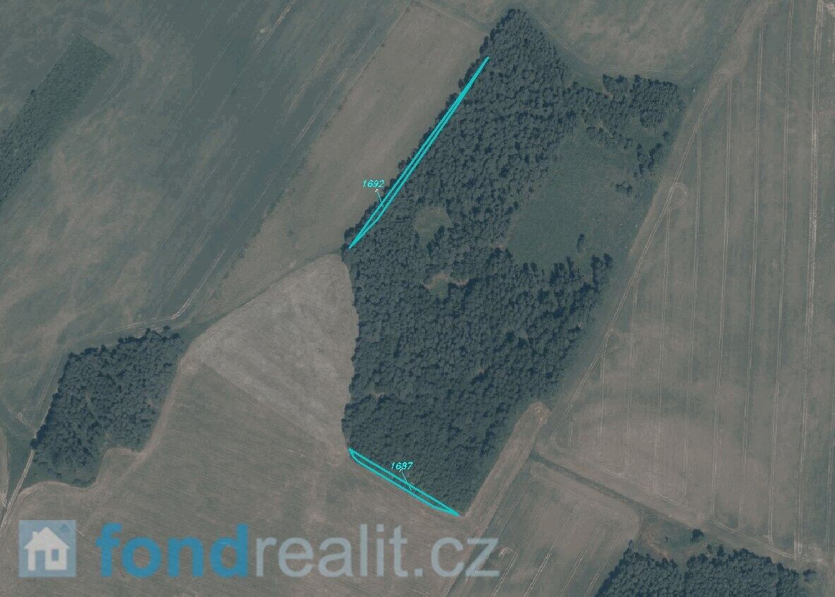 Zemědělský pozemek · 5 703 m² · Peč - 4