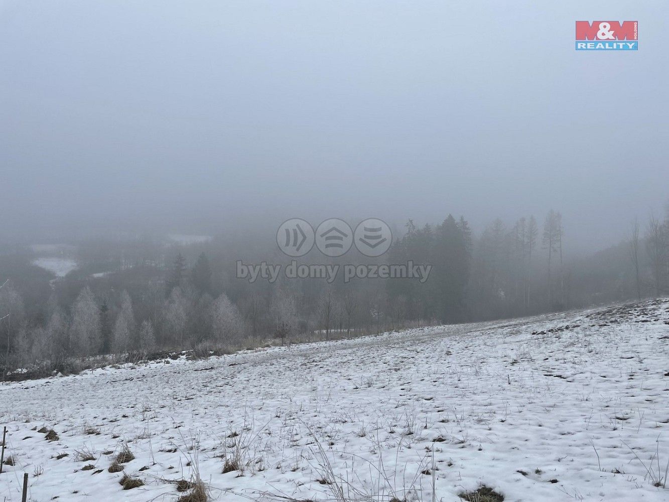 Lesy, Železný Brod, okres Jablonec nad Nisou, Liberecký kraj - 1