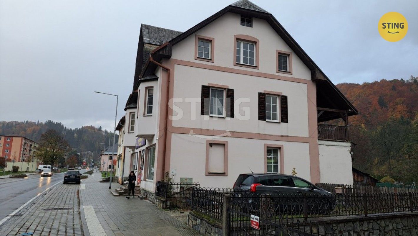 Prodej vila - Hlavní, Hanušovice, 222 m²