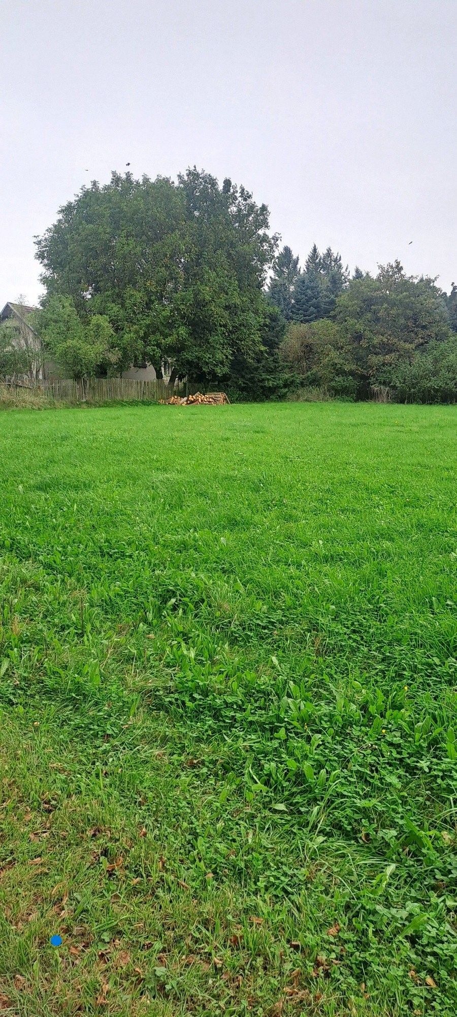 Pozemky pro bydlení, Laziště, Králova Lhota