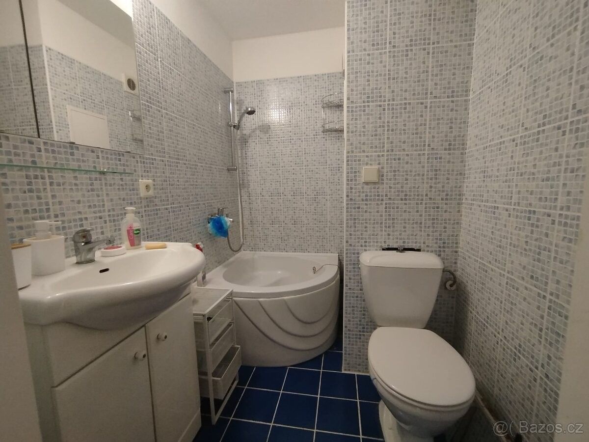 Pronájem byt 1+1 - Ostrava, 700 30