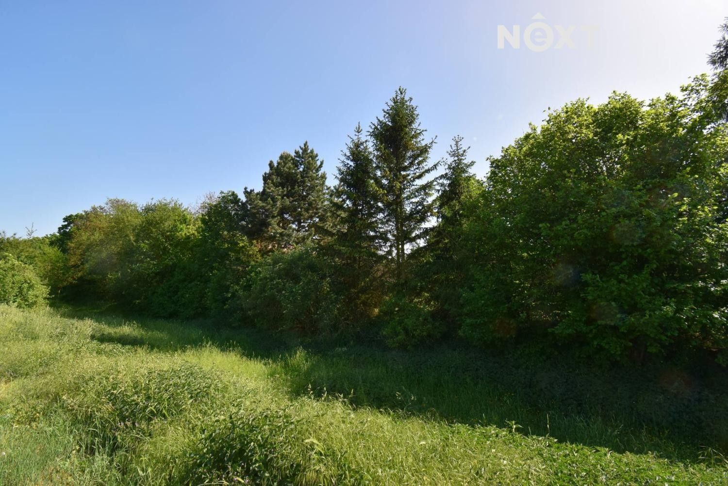 Zemědělský pozemek · Šlapanice - 3
