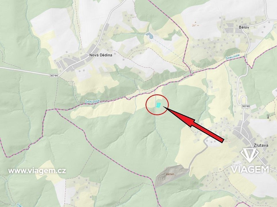 Les · Žlutava, okres Zlín, Zlínský kraj - 4