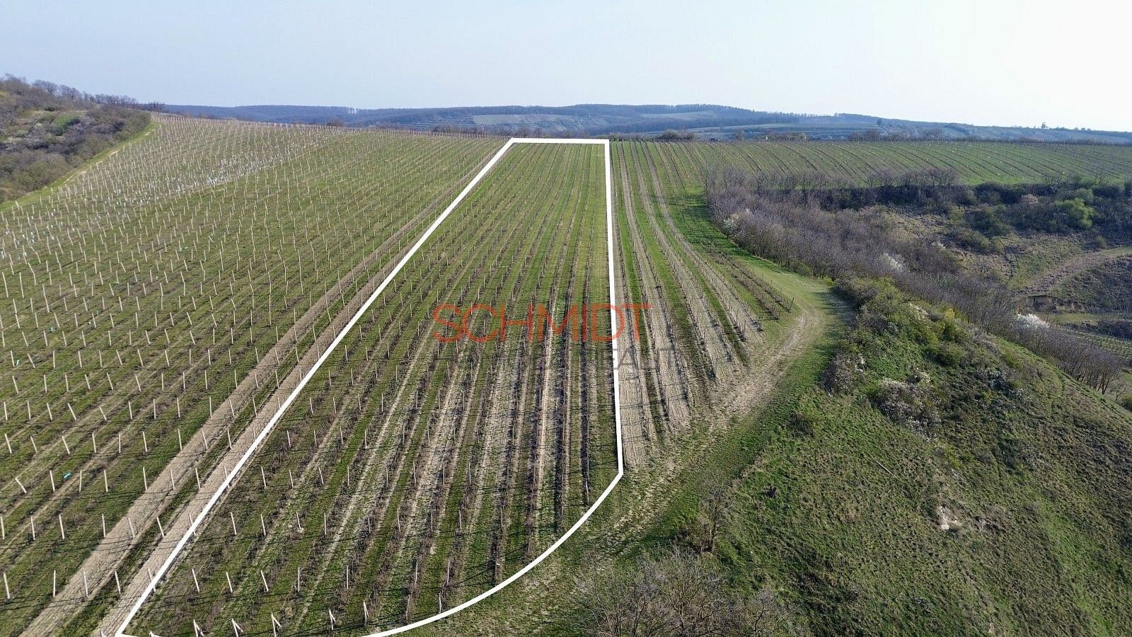 Pozemek · Němčičky, okres Břeclav, Jihomoravský kraj - 2