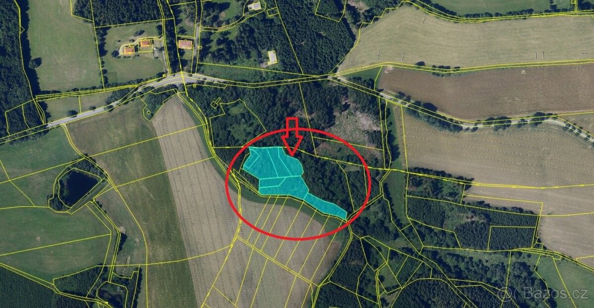 Pozemky pro bydlení, Sněžné, 592 03