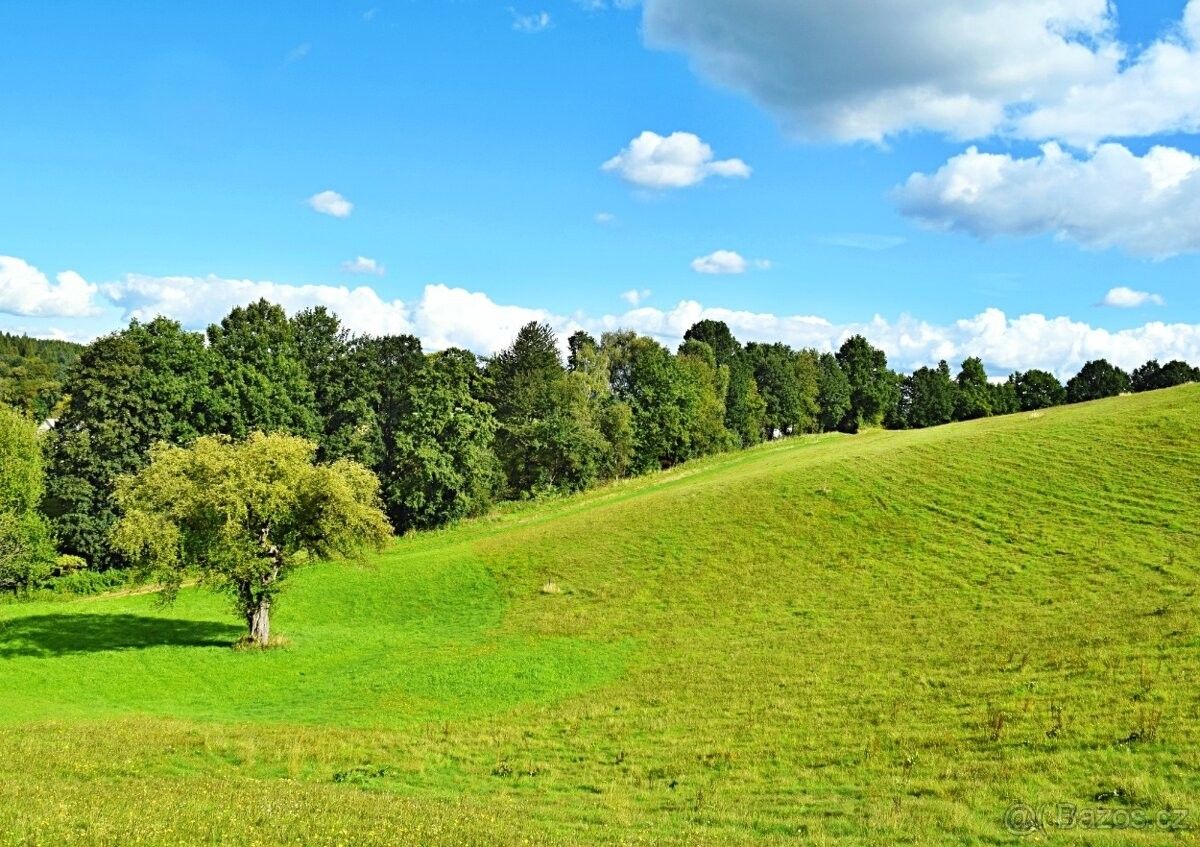Pozemek pro bydlení · Hnátnice, 561 01 - 4