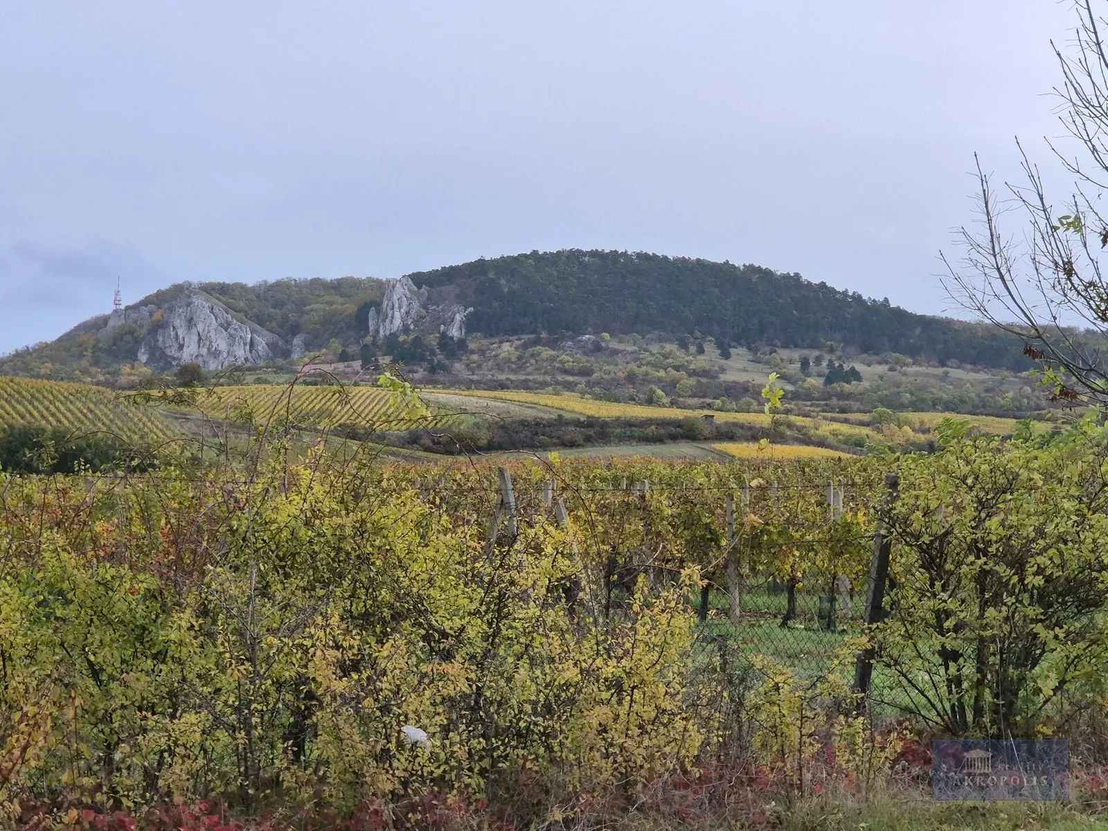 Ostatní