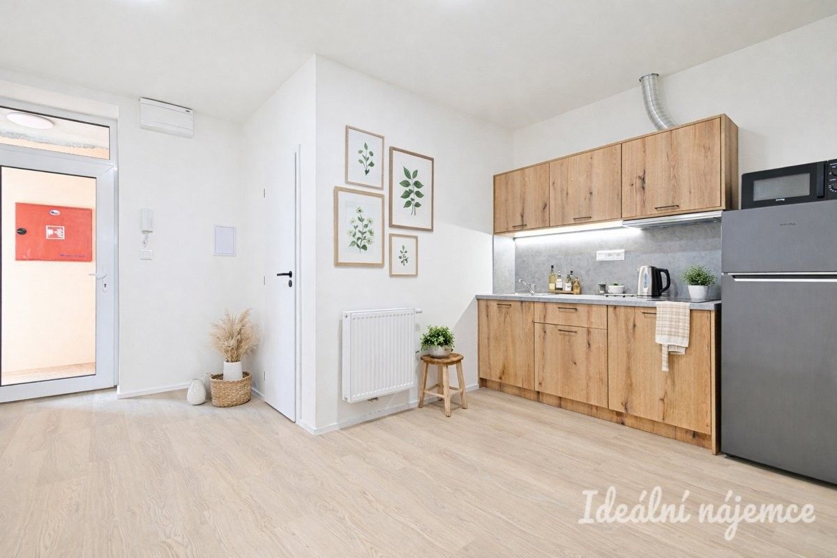 2+kk, Bubeníčkova, Brno, 35 m²