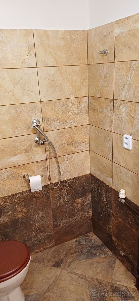 Pronájem byt - Brno, 621 00