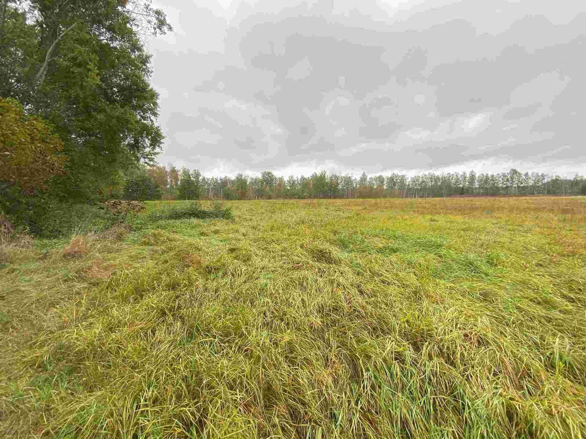 Prodej pozemek - Mydlovary, 15 m²