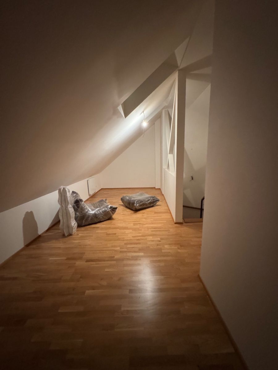 Byt 2+kk · 85 m² · Tyršova, Praha - Nové Město - 3