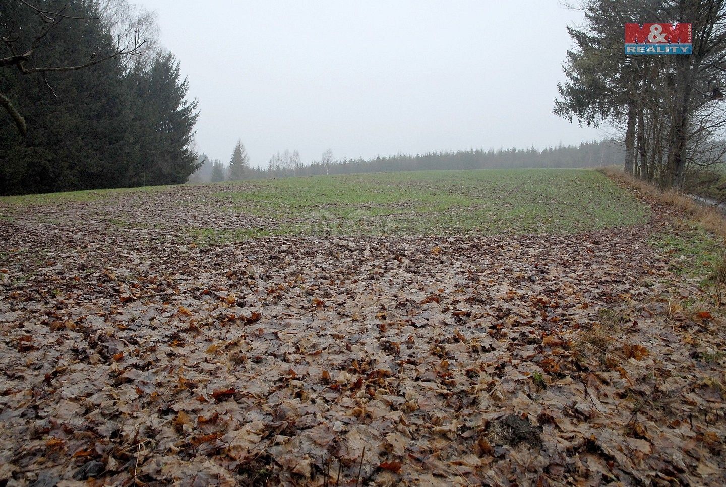 Zemědělský pozemek · Lomnice nad Popelkou - Želechy, okres Semily - 3