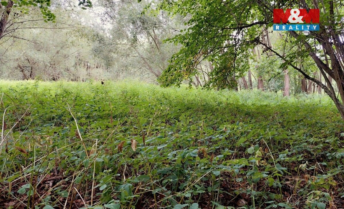 Prodej pozemek pro bydlení - Benešov u Prahy, 256 01