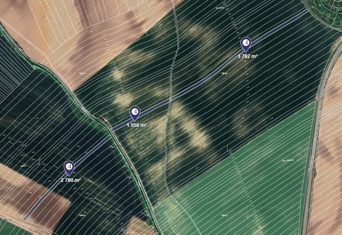 Zemědělské pozemky, Čejkovice, 8 100 m²