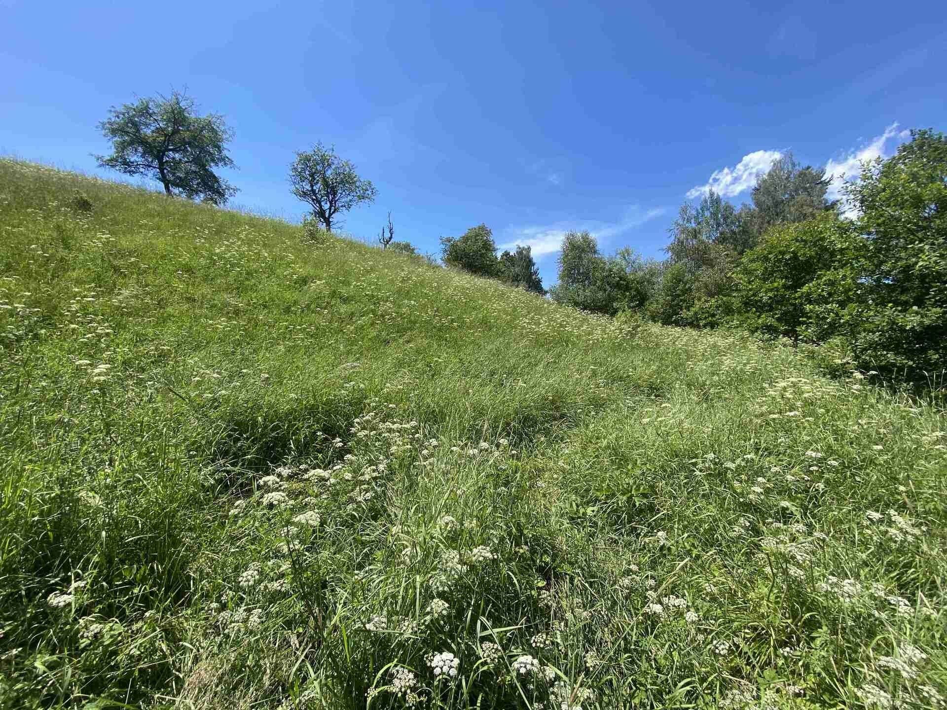 Zemědělský pozemek · 5 634 m² · Hartmanice - 3