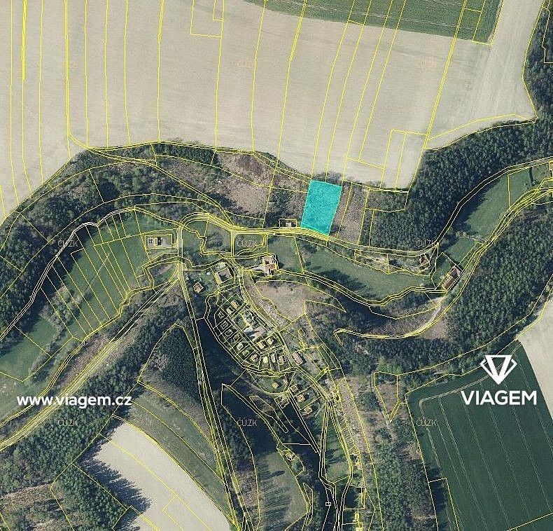 Les · Nové Hrady, okres Ústí nad Orlicí, Pardubický kraj - 2