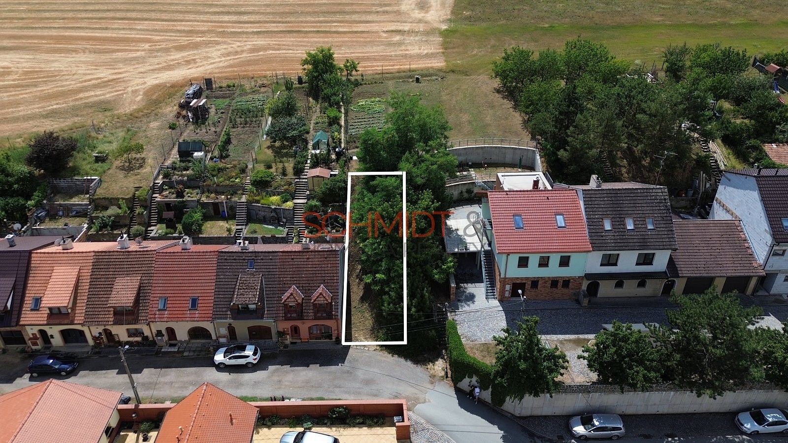 Ostatní, Vinařská, Hustopeče, okres Břeclav - 1