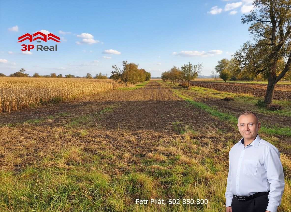 Zahrada · 1 564 m² · U Hřiště, Opatovice - 3