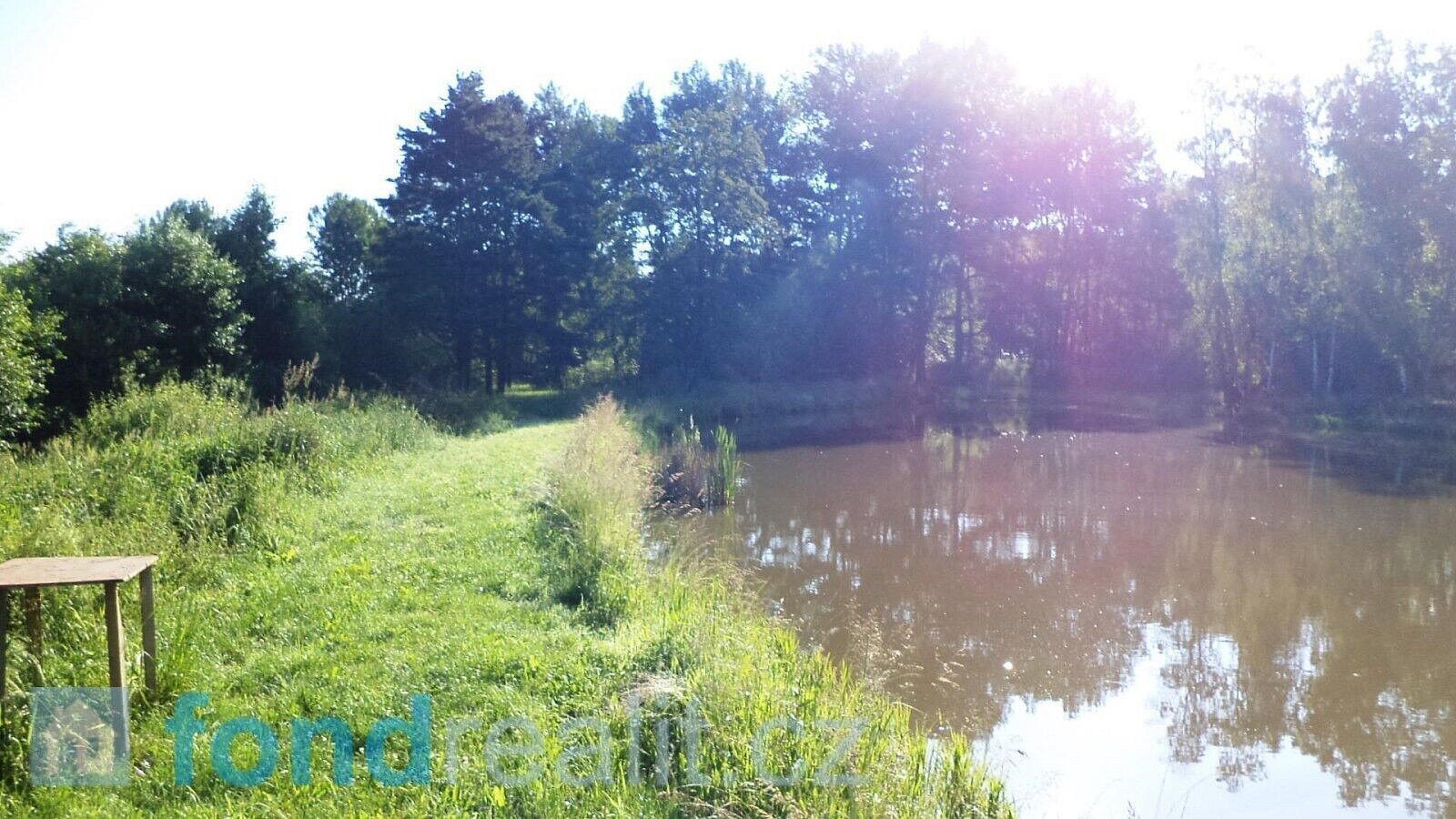 Louka · Hospříz, okres Jindřichův Hradec, Jihočeský kraj - 3