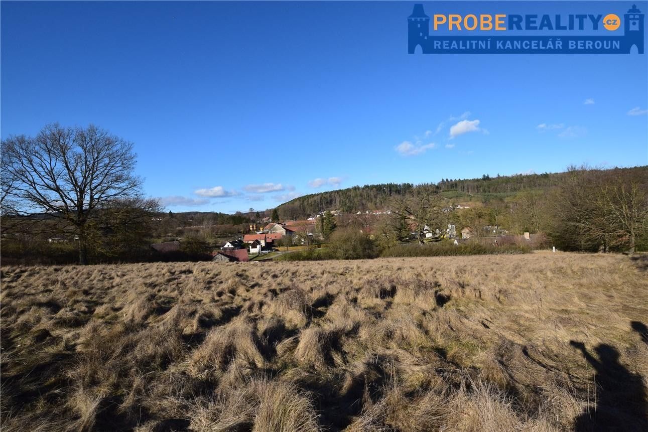 Prodej pozemek pro bydlení - Lučkovice, Mirotice, 9 991 m²