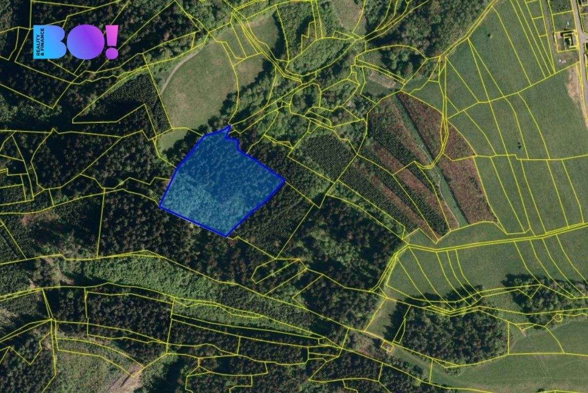 Lesy, Valašská Polanka, 14 596 m² - 1