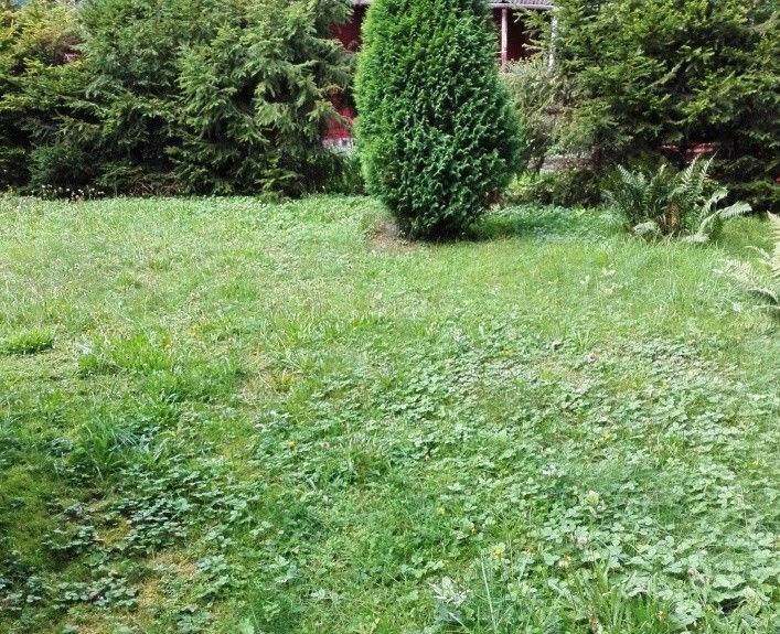 Pozemky pro bydlení, Třinec, 739 61